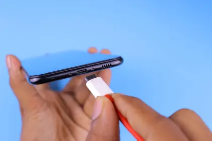 카지노 독스 포춘 모바일 앱